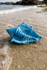 Blue Conch Pot