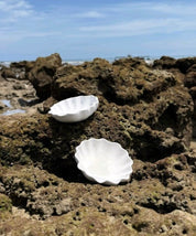 Sea-Shell Bowl