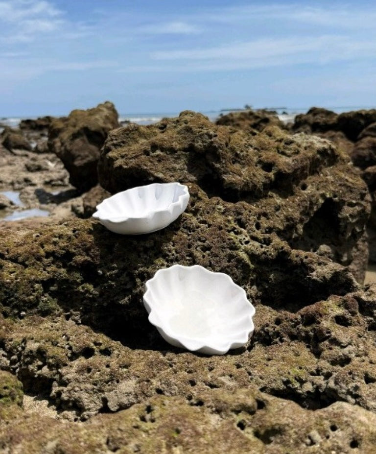 Sea-Shell Bowl
