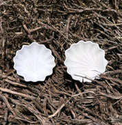 Sea-Shell Bowl