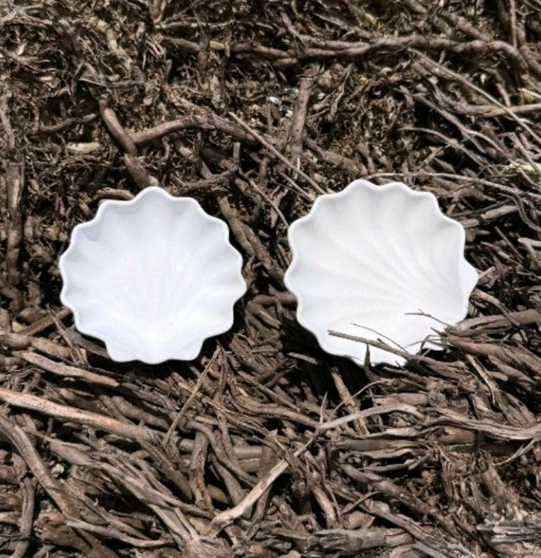 Sea-Shell Bowl