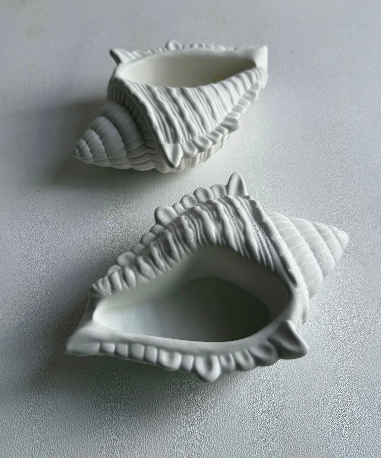 Wild Shell Pot