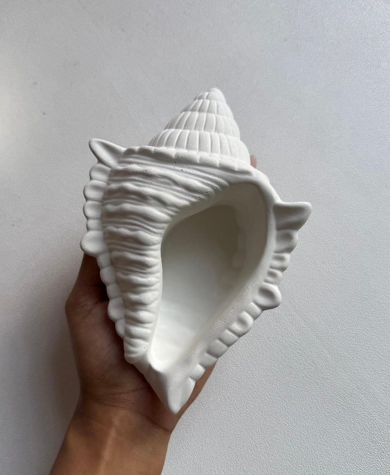 Wild Shell Pot