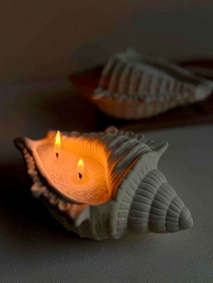 Wild Shell Pot