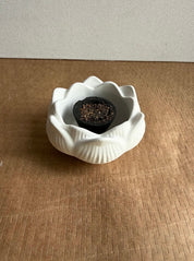 Mini Lotus Bowl