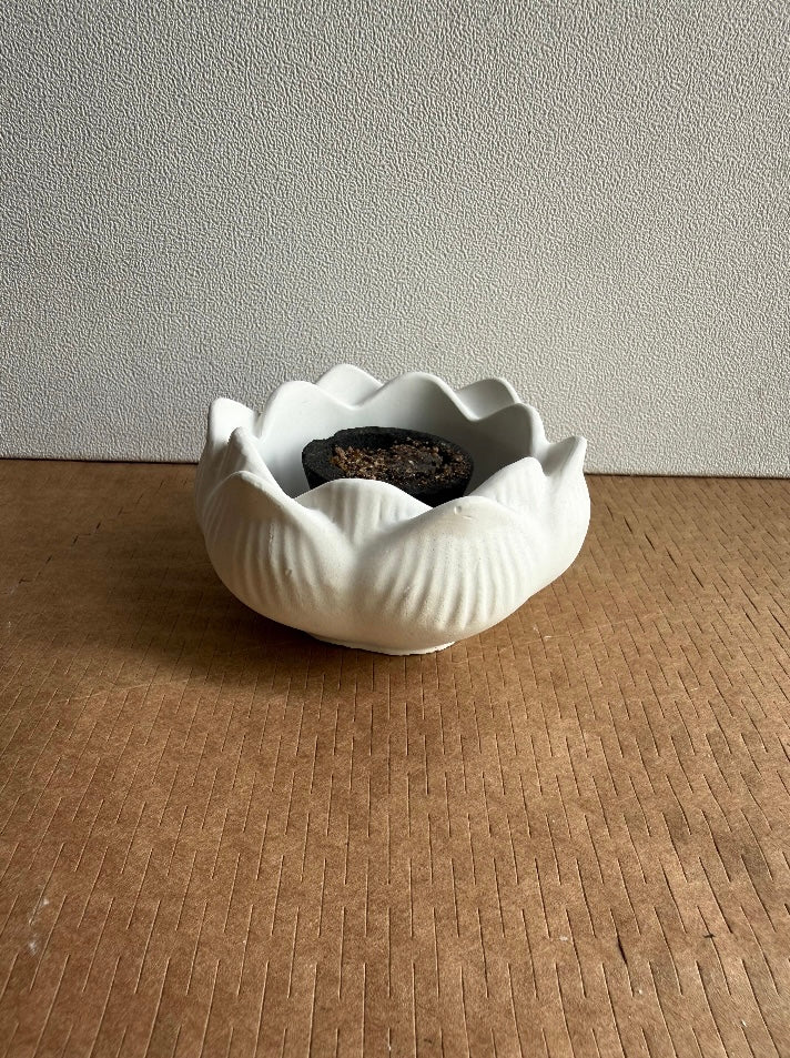 Mini Lotus Bowl